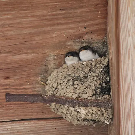 La Aux Hirondelles 3*