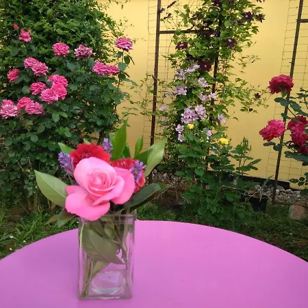 Alojamento de Acomodação e Pequeno-almoço La Aux Hirondelles 3*