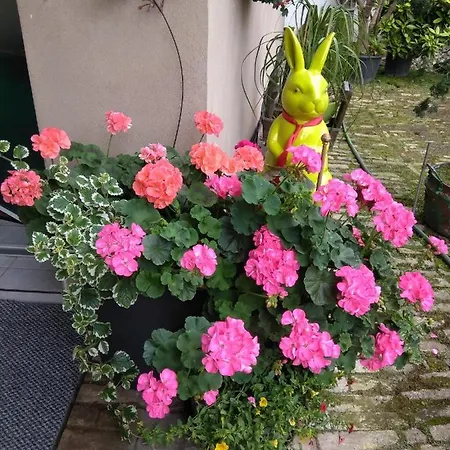 Alojamento de Acomodação e Pequeno-almoço La Aux Hirondelles Ittenheim