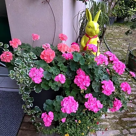 La Aux Hirondelles