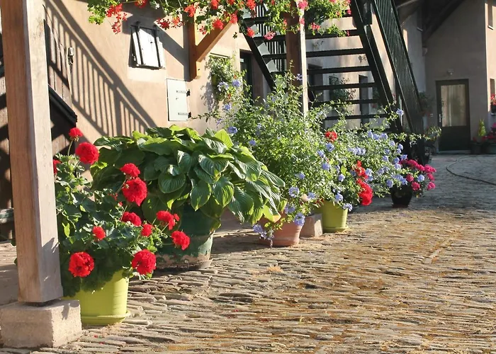 ベッド・アンド・ブレックファスト La Aux Hirondelles