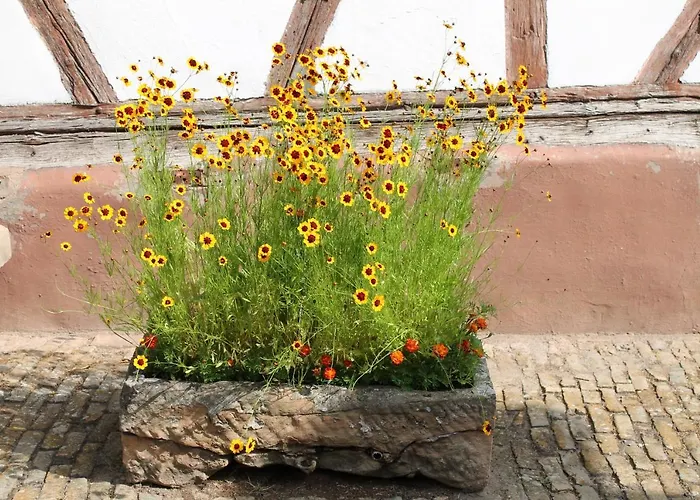 ベッド・アンド・ブレックファスト La Aux Hirondelles 3*