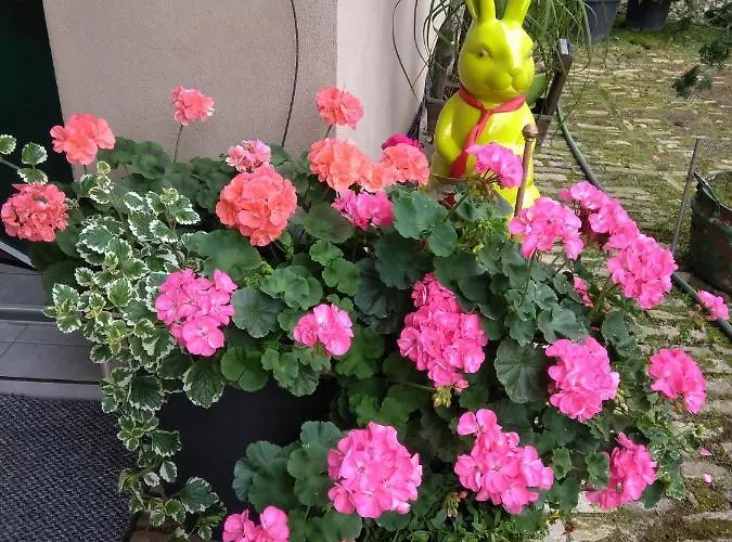 ベッド・アンド・ブレックファスト La Aux Hirondelles Ittenheim